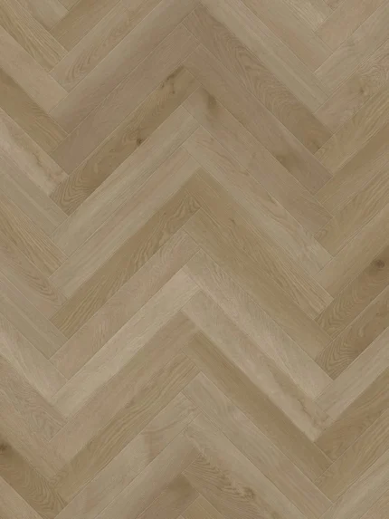 Texas Oak H scaled 1