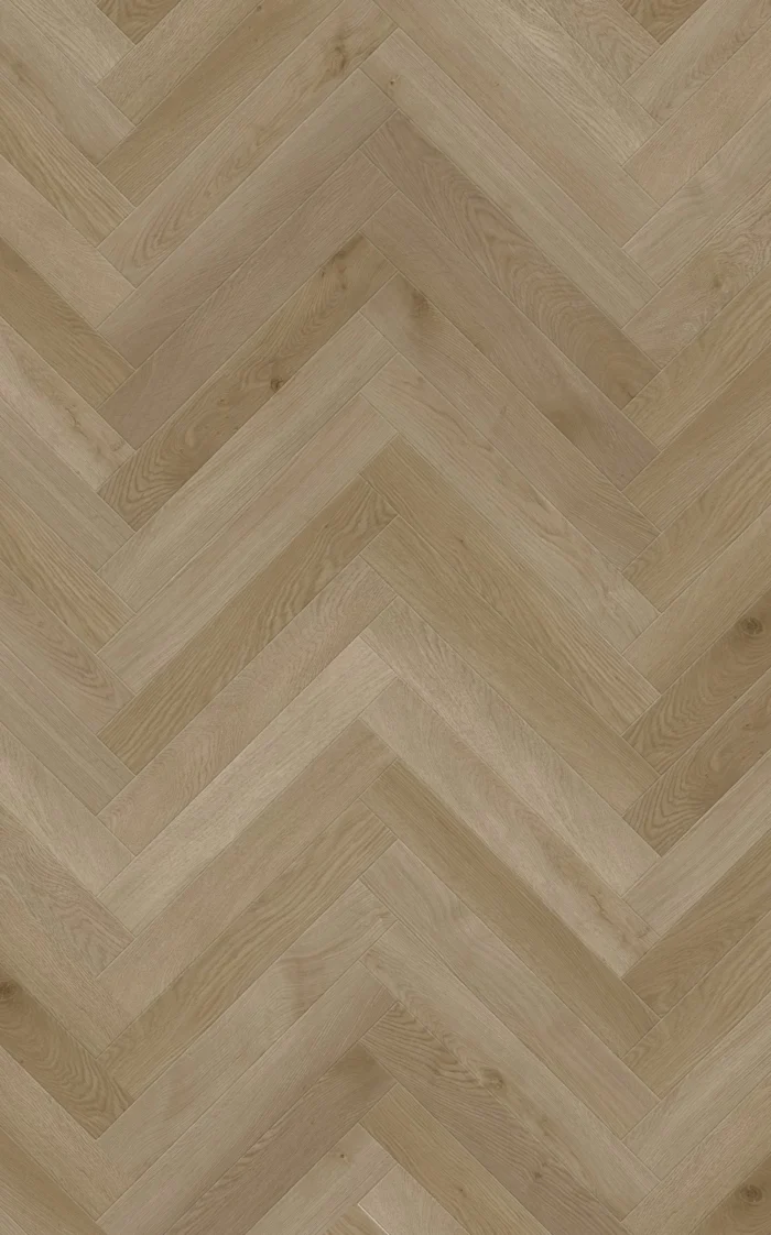 Texas Oak H scaled 1