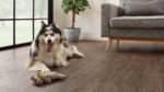50 LVR 9601 evp vinyl flooring roomscene