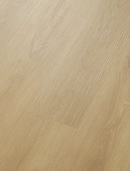 VV626 01220 ANGLED