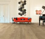 VV809 02557 ROOM