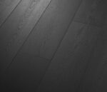 VV809 02599 ANGLED