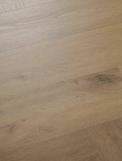 VV835 02556 ANGLED
