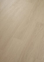 VV838 03673 ANGLED