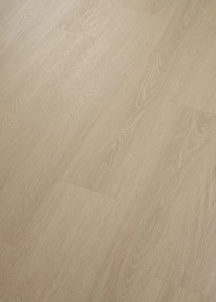 VV838 03673 ANGLED