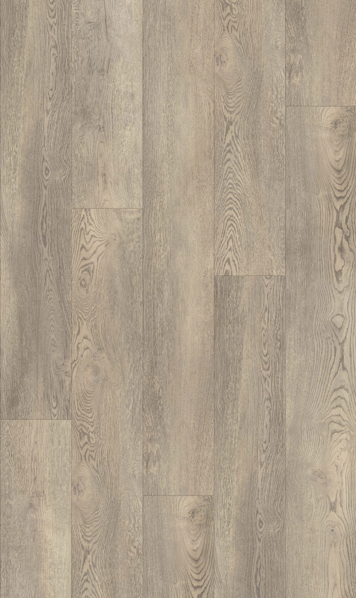 White Paris oak
