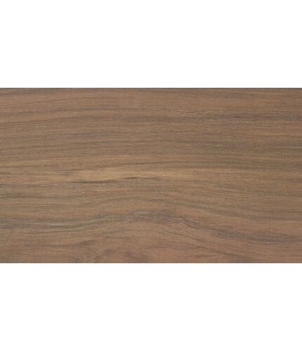 610 HICKORY CARYA v2 500x500