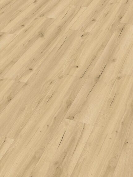 20191 Dryback Vinyl DD155 Perspektive 600x848