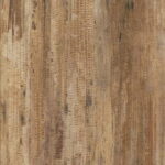 Invictus Tropical Forest - Havana - Image 2